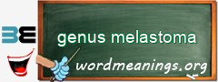WordMeaning blackboard for genus melastoma